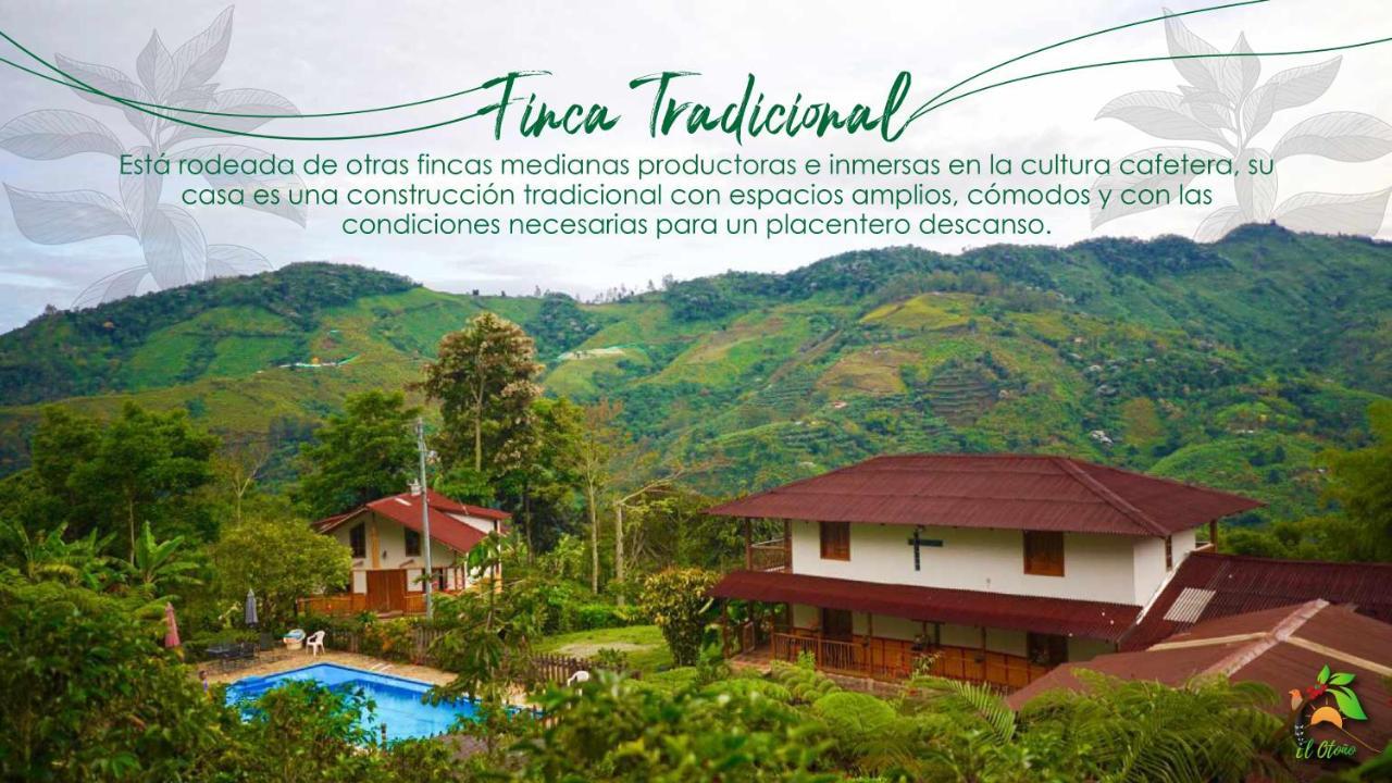 Country house Tradicional El Otono Pijao